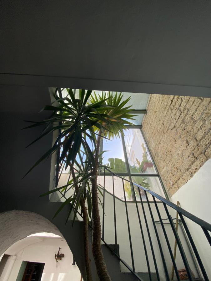 Suites Edivino Design Капри Екстериор снимка
